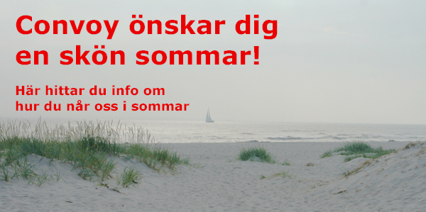 bild thom sandhammaren 2009 m text.jpg
